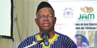 Artisanat minier : deux jours pour repenser l’exploitation de l’or