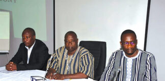 Assurance agricole au Burkina Faso : les résultats d’une étude passés à la loupe