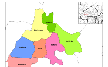 Boucle du Mouhoun : Attaque dans le département de Douroula, aucune perte en vie humaine