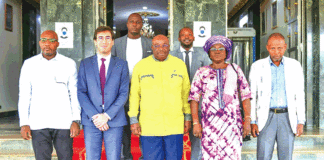 Production d’énergie : la centrale solaire de Nagréongo bientôt en service