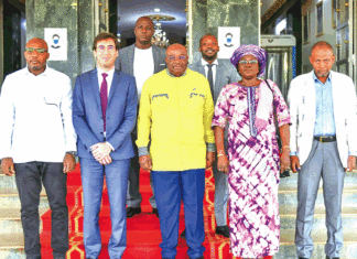 Production d’énergie : la centrale solaire de Nagréongo bientôt en service