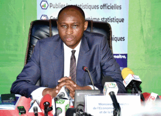 Statistiques socio-démographiques : plus de 20 millions de Burkinabè recensés en 2019