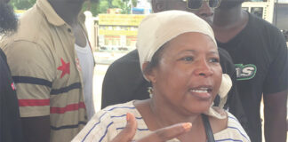 Mouvement M30 Naaba Wobgo : la marche contre la France dispersée