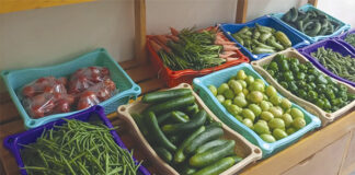 Cultures biologiques au Burkina : des aliments sains, de plus en plus sollicités