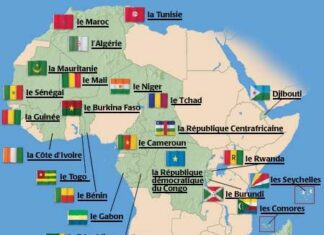 Budgets ouverts en Afrique francophone : Des fortunes diverses sur la route de la transparence