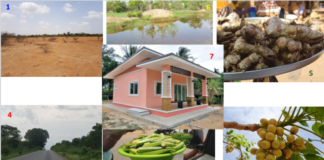 « Le changement climatique a des répercussions sociales, économiques et environnementales … », dixit l’enseignant-chercheur, Pr Adjima Thiombiano