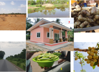 « Le changement climatique a des répercussions sociales, économiques et environnementales … », dixit l’enseignant-chercheur, Pr Adjima Thiombiano