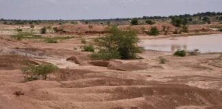 Périmètre irrigué de Gourgou : Plus d’un milliard F CFA d’investissements à l’eau