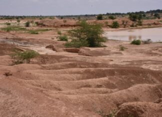 Périmètre irrigué de Gourgou : Plus d’un milliard F CFA d’investissements à l’eau