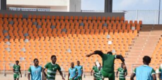 Éliminatoire CHAN 2023 : Les Étalons pressés d’en découdre