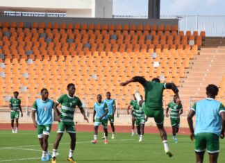 Éliminatoire CHAN 2023 : Les Étalons pressés d’en découdre