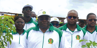 Journée nationale de l’arbre : le gouvernement instruit la création de nouvelles forêts