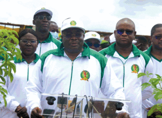 Journée nationale de l’arbre : le gouvernement instruit la création de nouvelles forêts