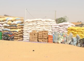 Lutte contre la pauvreté : des vivres et du cash transfert pour les personnes vulnérables