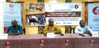 Petit élevage dans le Séno et le Sanmatenga : 900 millions francs CFA à injecter