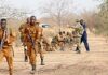 Burkina/Lutte contre le terrorisme : l’armée neutralise une dizaine de terroristes à l’Est
