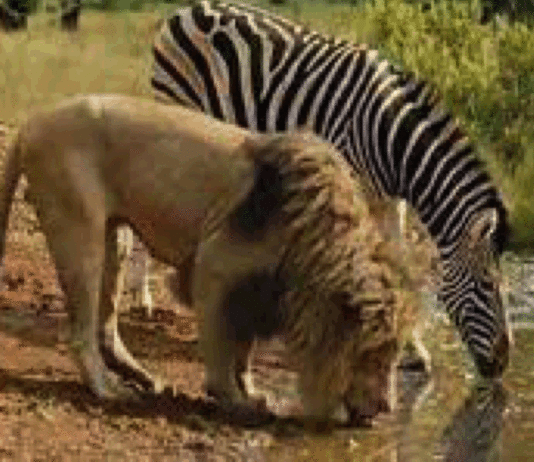 Situation nationale : C’est possible