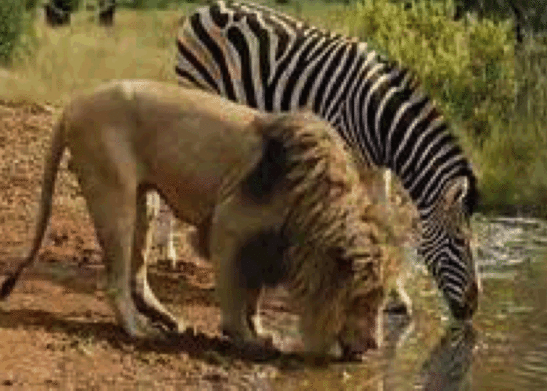 Situation nationale : C’est possible