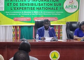 Burkina Faso : « L’expertise est au début et à la fin de tout processus de développement », Halkesse Komikiyoaba
