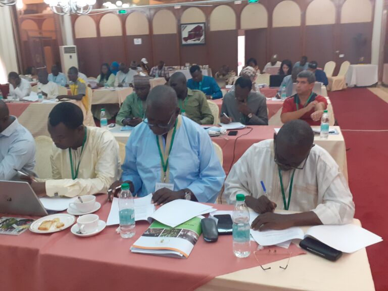 Atelier régional sur l’adaptation au changement climatique : Les participants invités à réinvestir les connaissances acquises  
