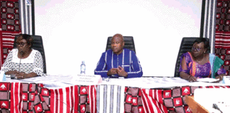 Couverture sanitaire universelle : la médecine traditionnelle, une alternative de l’offre de soins