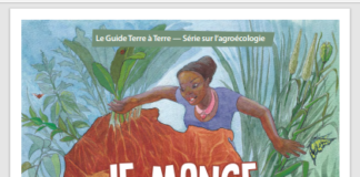 Souveraineté alimentaire en Afrique : Un livre pour booster le « consommons africain »