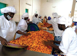 Unités de séchage de mangues : un secteur « juteux » en quête de financement