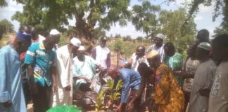 Cohésion sociale au sein des communautés à Bissighin et Bassinko : Plantation d’arbres et lecture de coran pour renforcer les liens