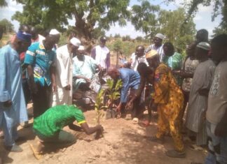 Cohésion sociale au sein des communautés à Bissighin et Bassinko : Plantation d’arbres et lecture de coran pour renforcer les liens