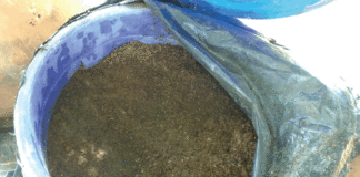 Préservation durable des terres cultivables : une solution à travers l’agroécologie