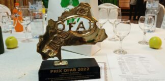 Paténéma Oumar Ouédraogo des Editions Sidwaya : a été désigné lauréat du « Prix de la meilleure production » de la 6ème édition du Prix OFAB .