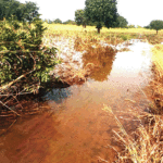 Débordement du fleuve Mouhoun : plus de 2 600 hectares du “ Grenier du Burkina ” submergés par les eaux