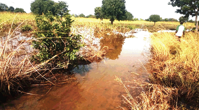 Débordement du fleuve Mouhoun : plus de 2 600 hectares du “ Grenier du Burkina ” submergés par les eaux