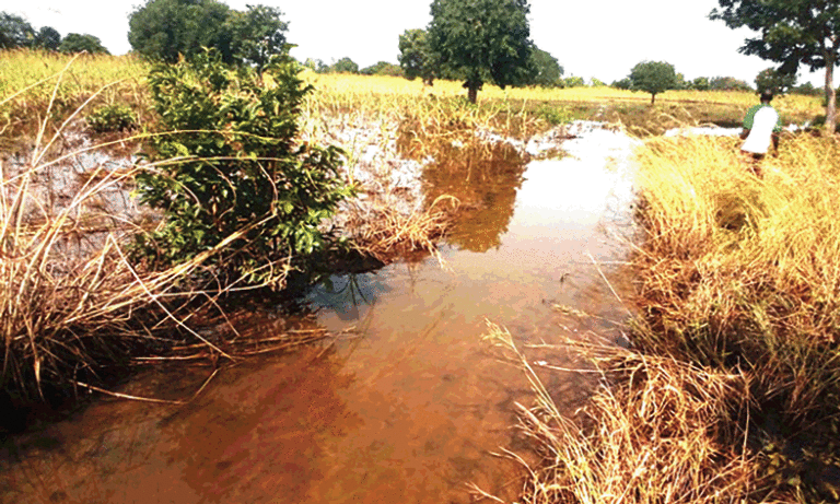 Débordement du fleuve Mouhoun : plus de 2 600 hectares du “ Grenier du Burkina ” submergés par les eaux