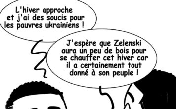 Sourire du 7/11/2022