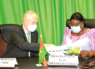 Projet de création de 2 000 écovillages : Apporter un coup d’accélérateur