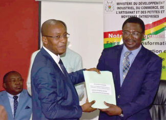 Ministère en charge du commerce : le nouveau ministre Serge Gnaniodem Poda installé