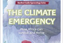 27e conférence sur le climat : La nécessaire prise en compte des systèmes alimentaires africains en débat