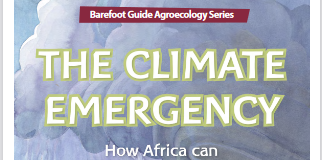 27e conférence sur le climat : La nécessaire prise en compte des systèmes alimentaires africains en débat