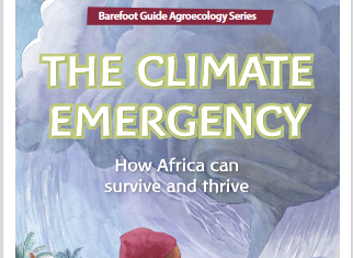 27e conférence sur le climat : La nécessaire prise en compte des systèmes alimentaires africains en débat
