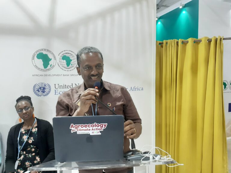 COP27 : Des pays africains partagent leurs expériences en agroécologie