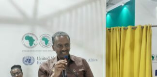 COP27 : Des pays africains partagent leurs expériences en agroécologie
