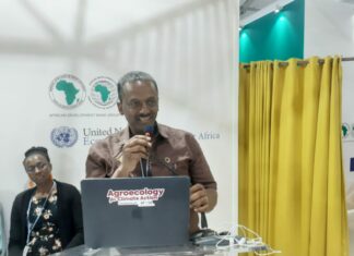 COP27 : Des pays africains partagent leurs expériences en agroécologie