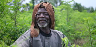 Agriculture : planter des baobabs, le pari fou du vieux Salifou Ouédraogo qui totalise plus de 35 000 pieds à son actif