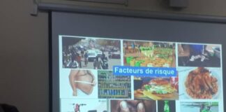 Journée Mondiale du Diabète : L’insécurité un frein à l’accès aux soins des diabétiques au Burkina