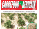 Une Carrefour Africain n°1284-Octobre 2022