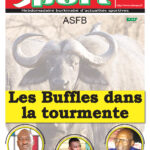 Une Sport du 8/11/2022