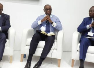 COP27 : La BOAD dévoile son positionnement climat à Sharm el-Cheikh