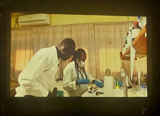 8ème édition du festival de film scientifique : 4 jours de projection pour promouvoir « l’égalité des chances dans la science »