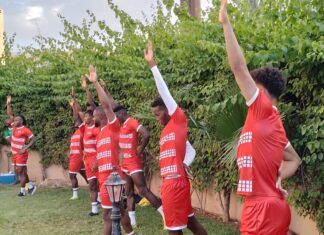 Stage des Étalons à Marrakech : Les choses sérieuses commencent demain
